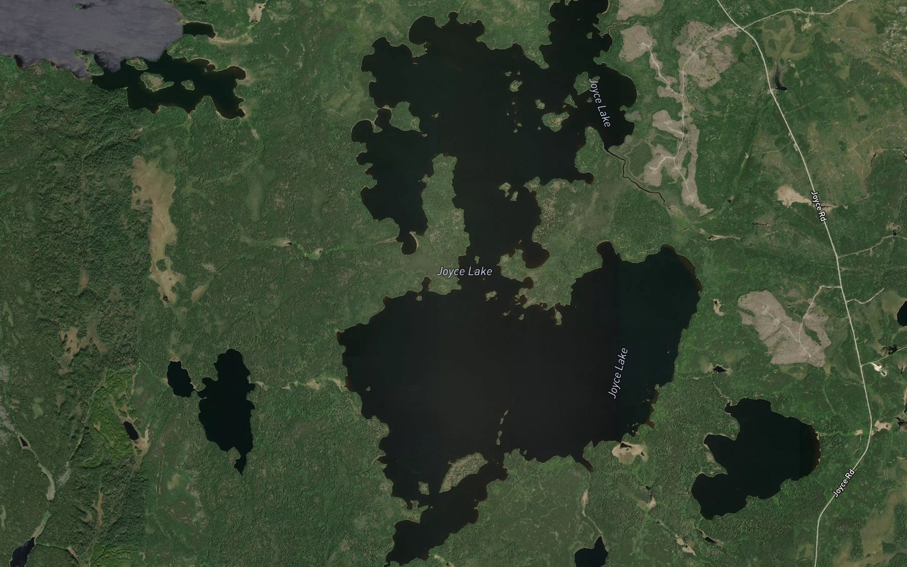Satellite map of the Joyce Lake