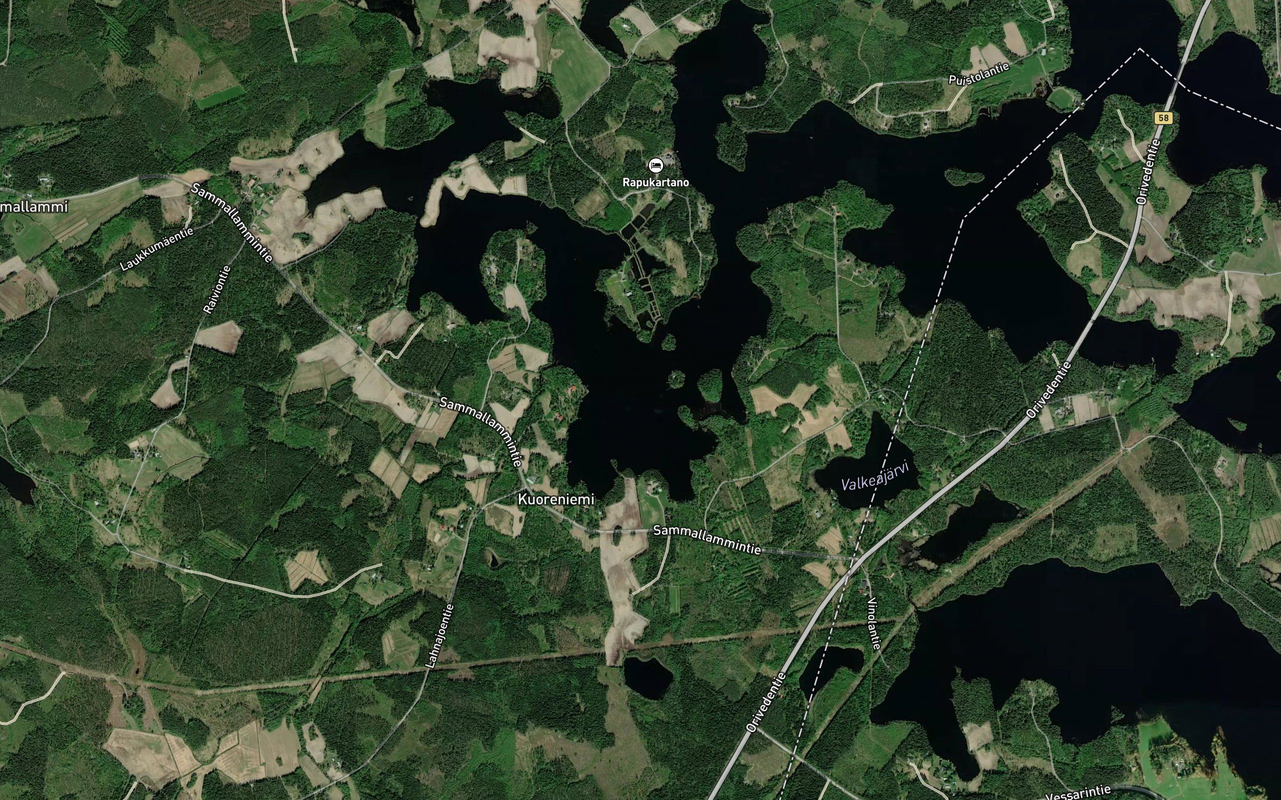 Koivuselka