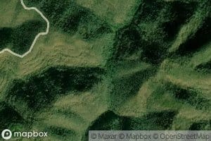 Long Fork
