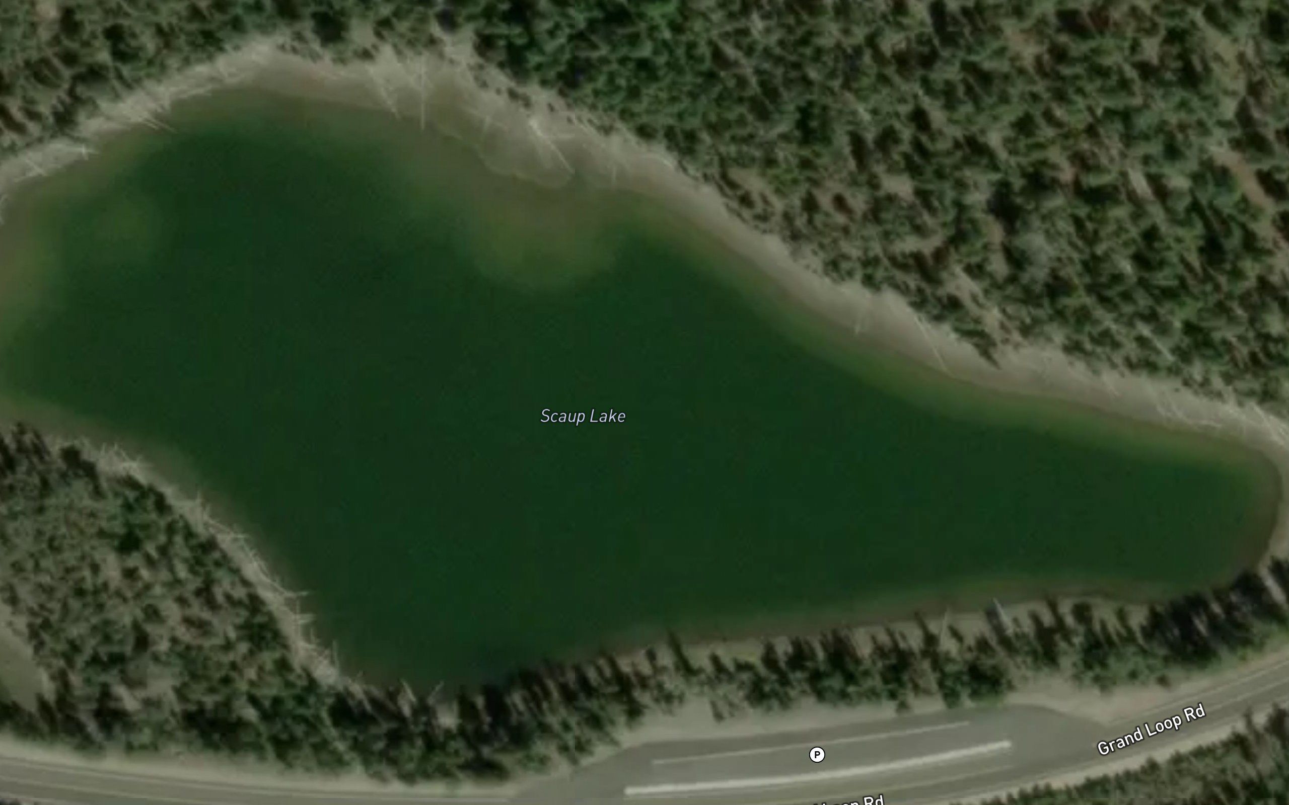 Scaup Lake