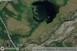 Mollvollelva