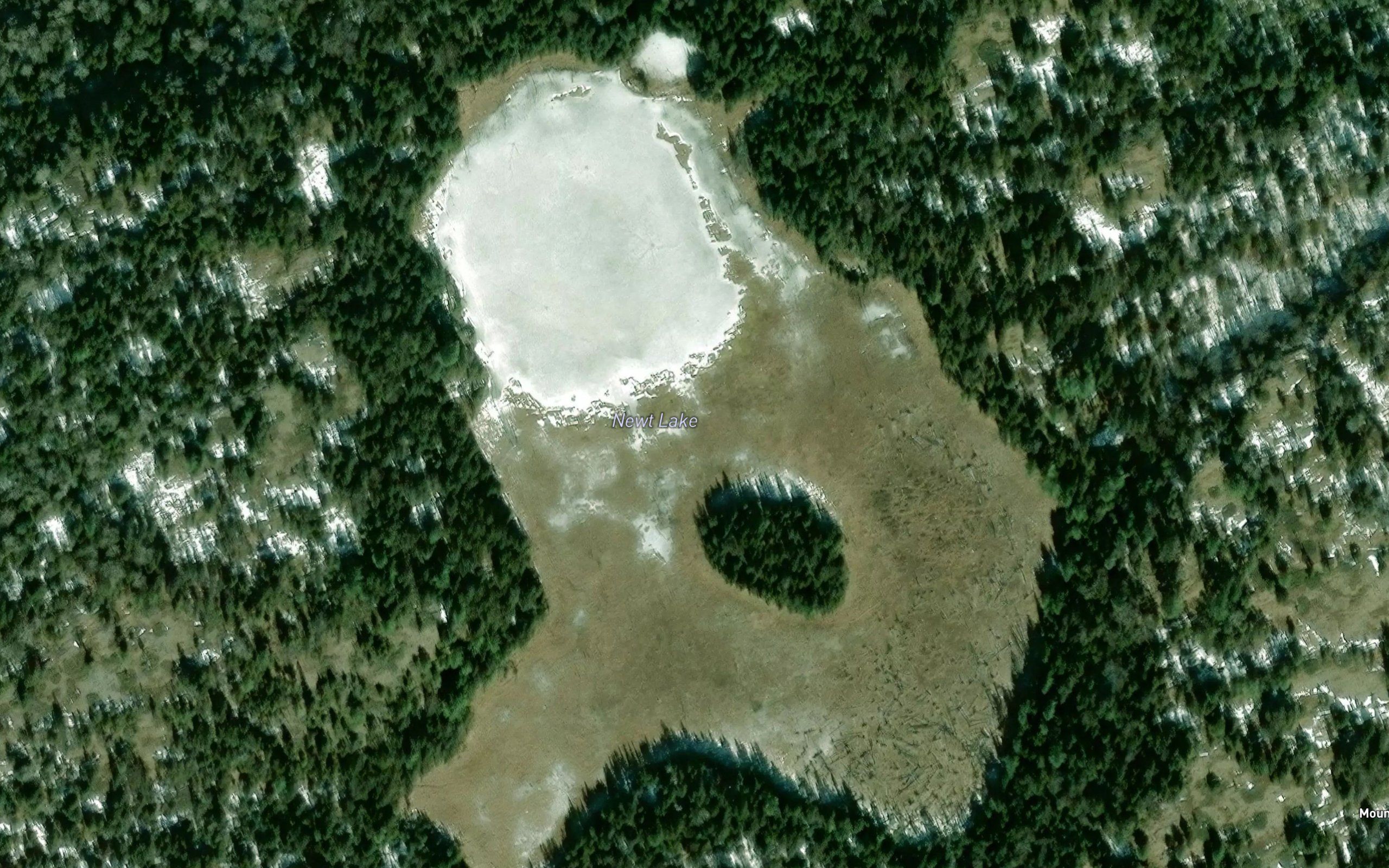 Newt Lake