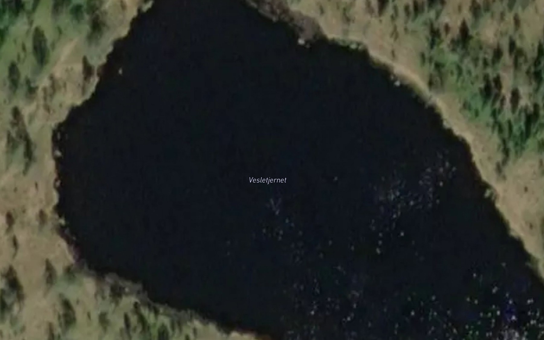 Satellite map of the Vesletjernet