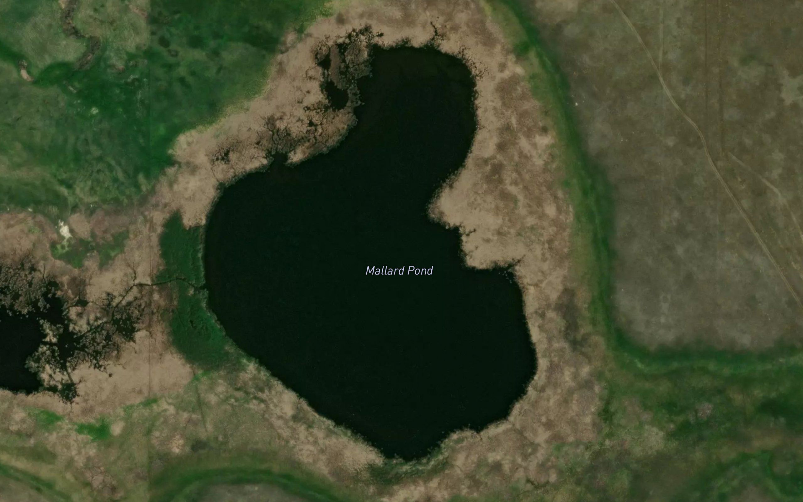 Mallard Pond