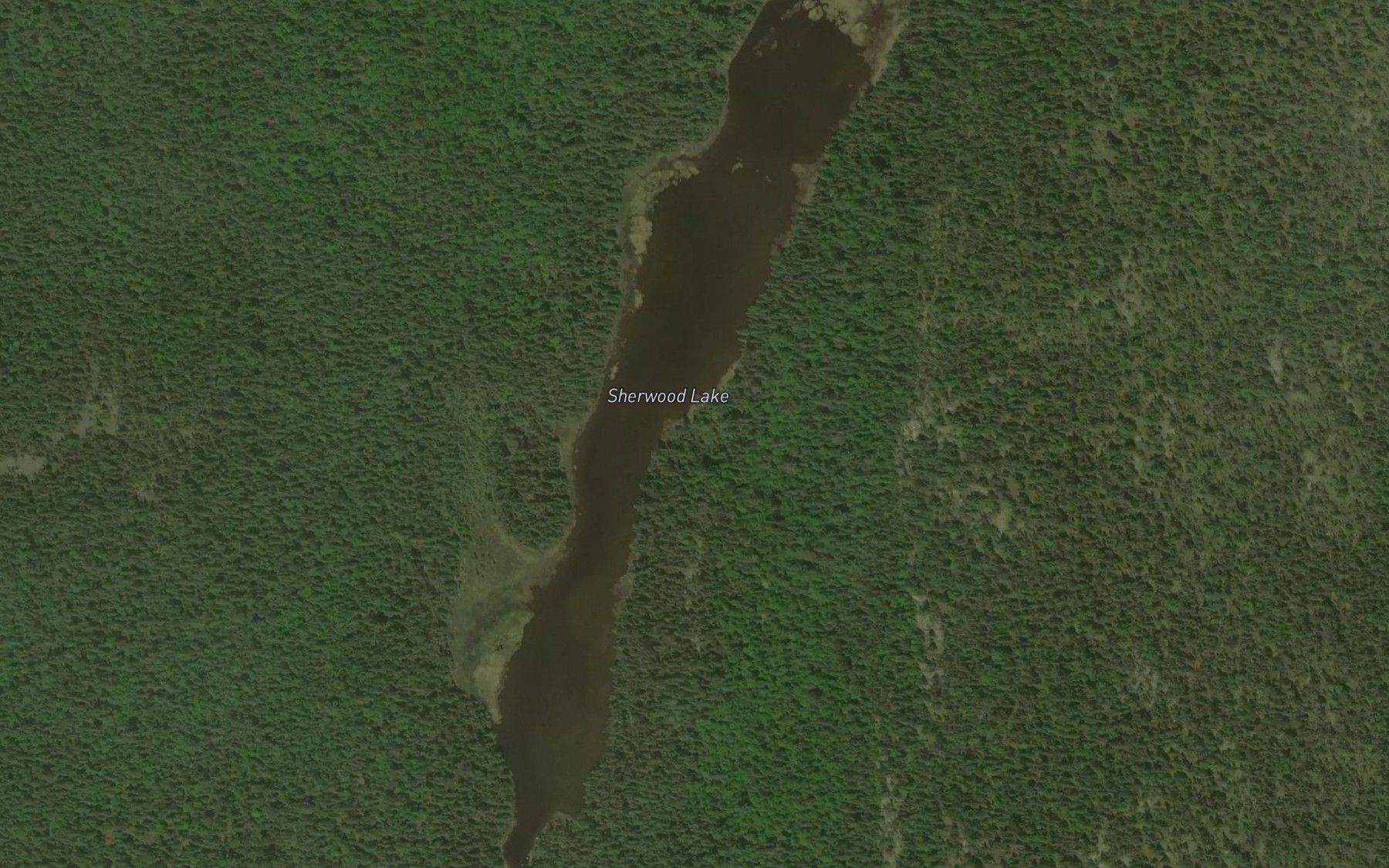 Satellite map of the Sherwood Lake