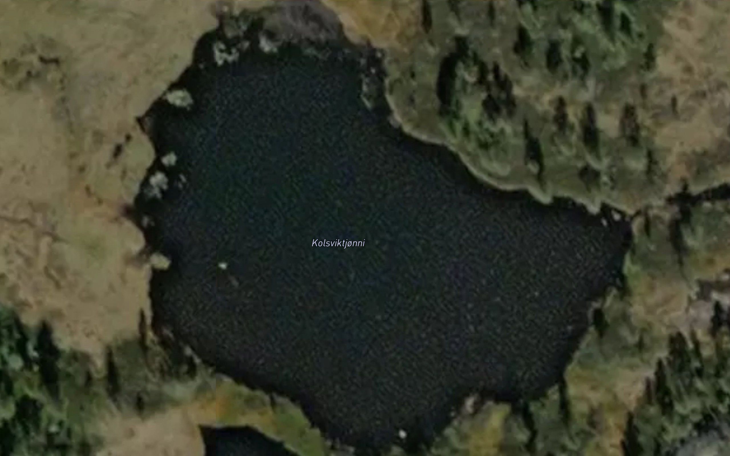 Kolsviktjonni