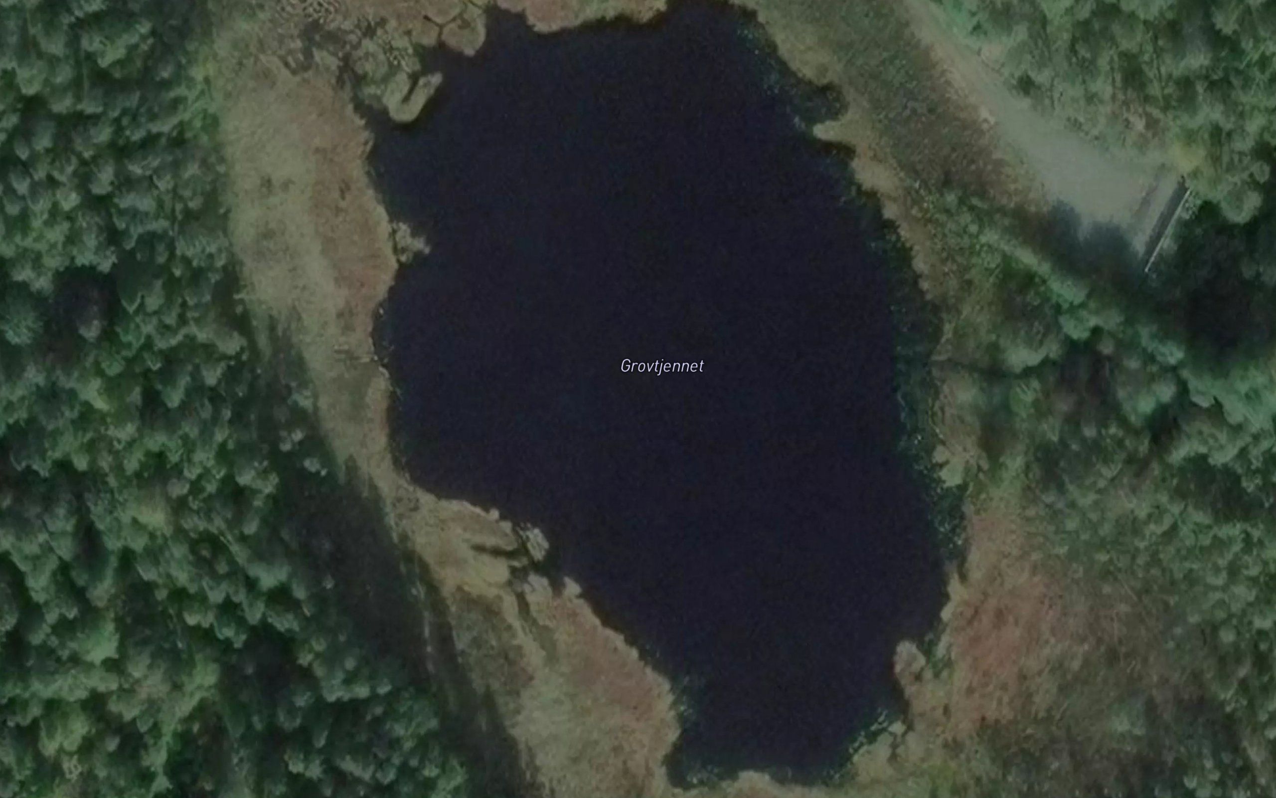 Gravtjennet