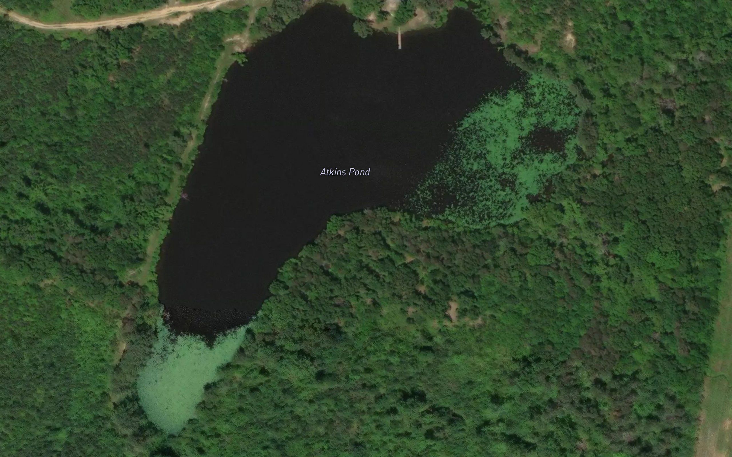 Atkins Pond
