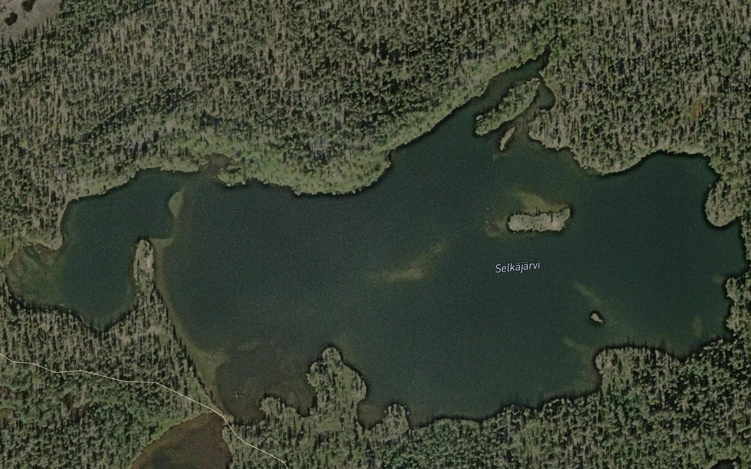 Selgijavri