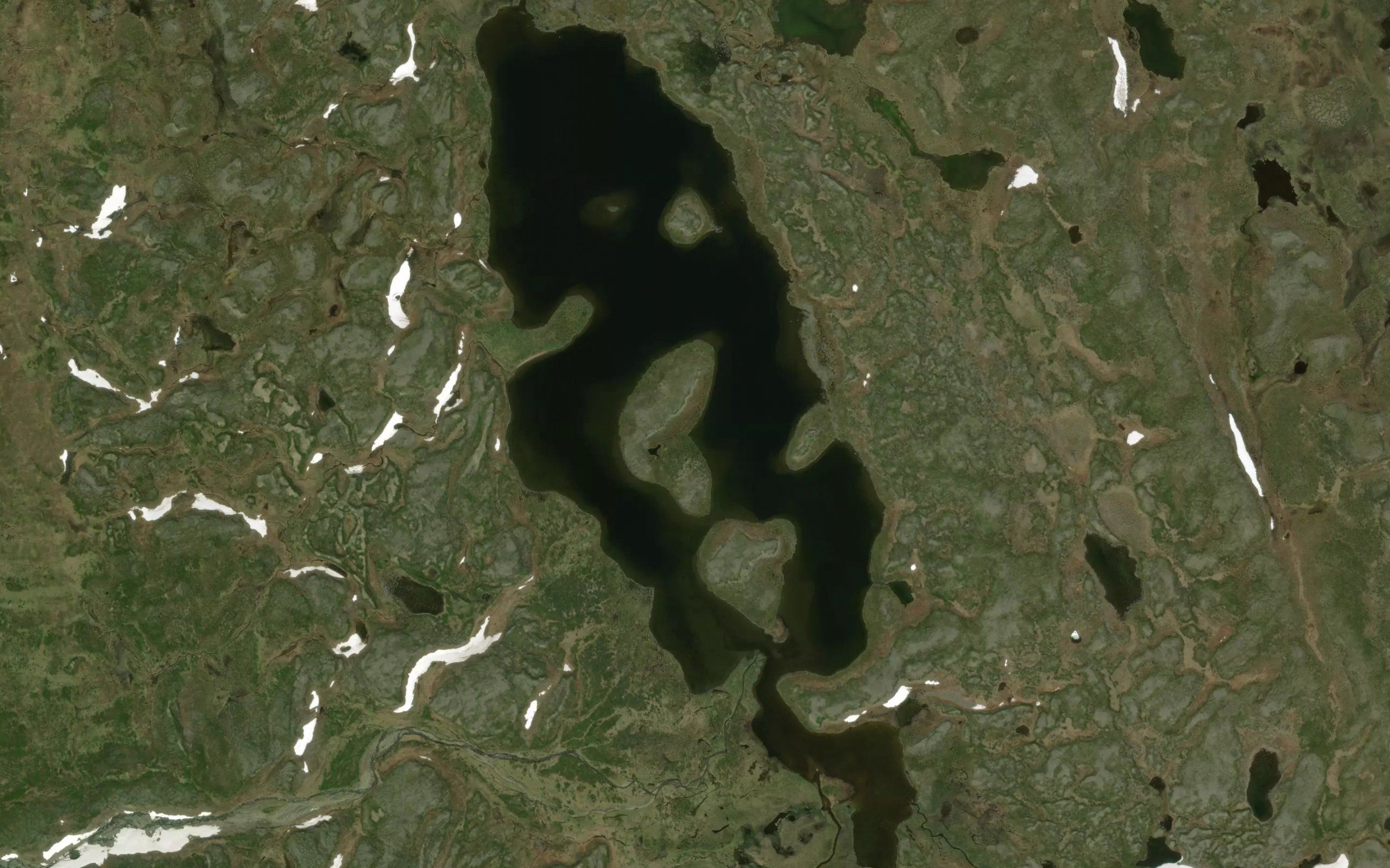 Garasjavri