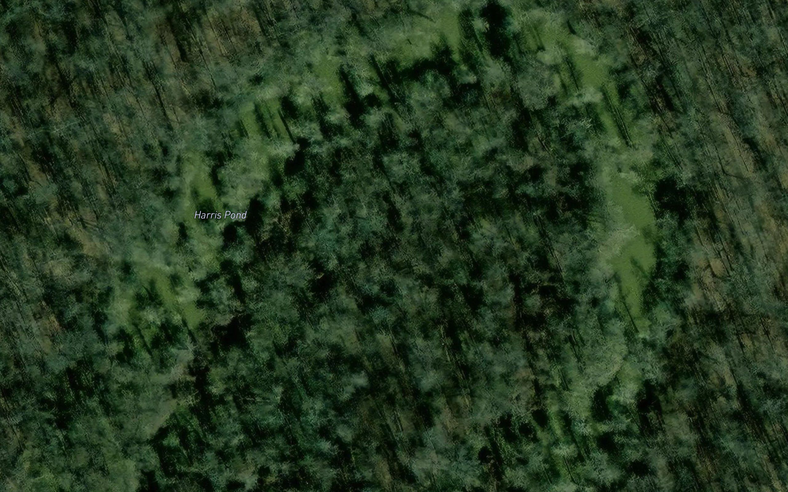 Harris Pond