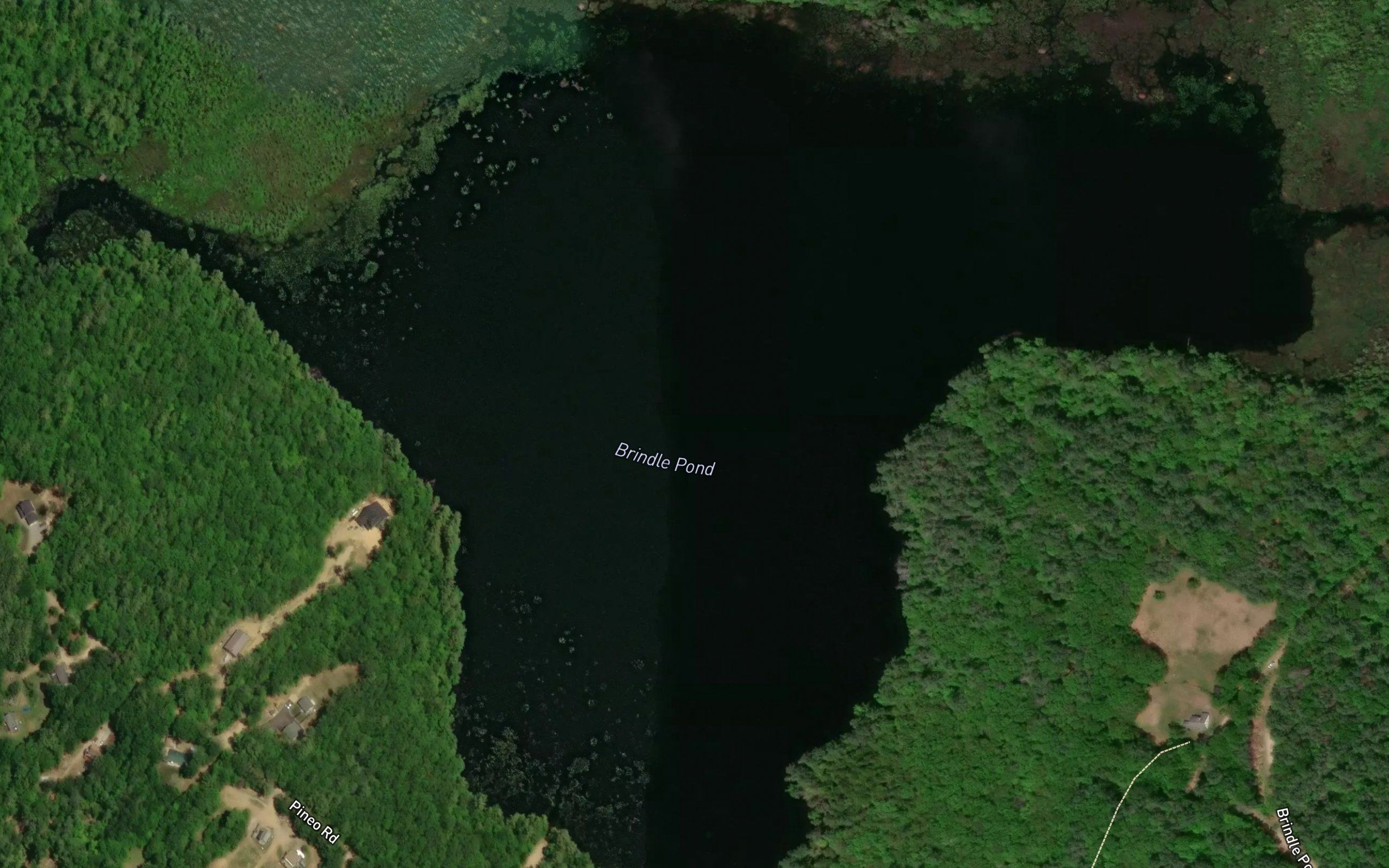 Brindle Pond