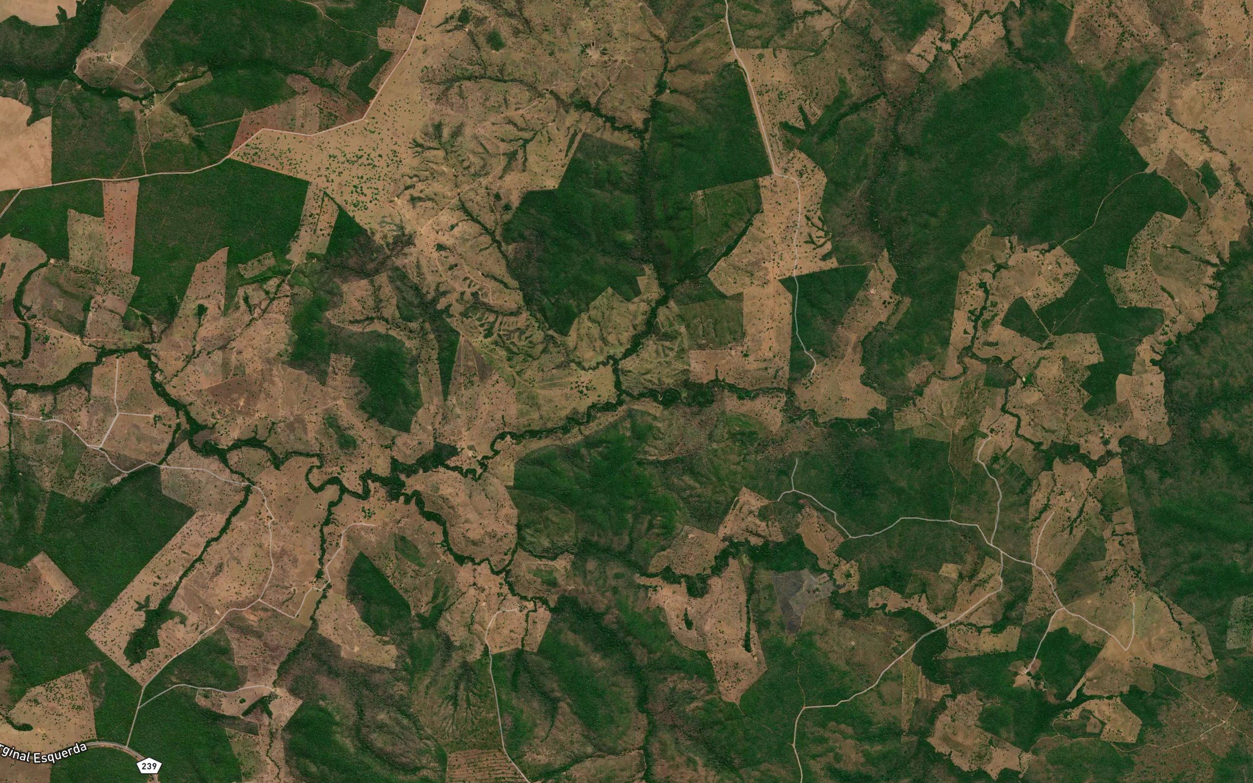 Ribeirao Fogosa
