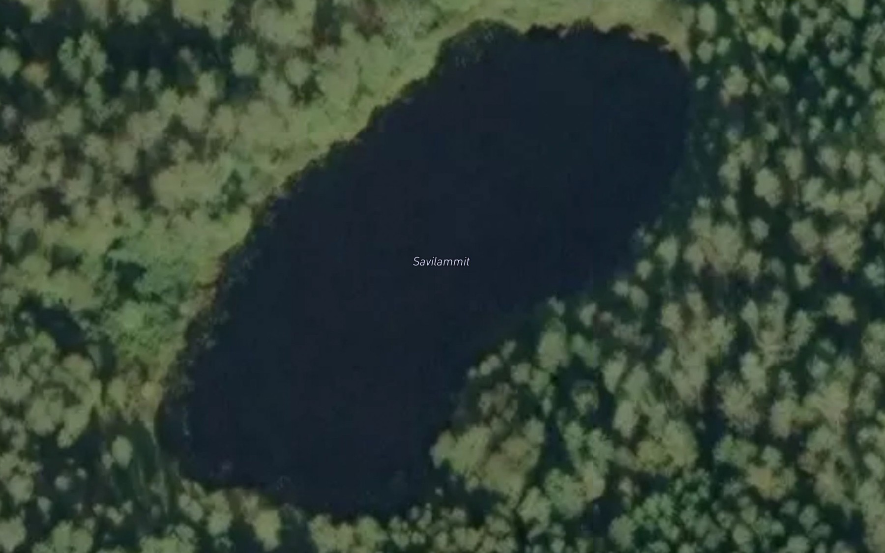Satellite map of the Koiraoja