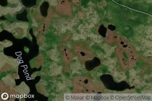Cross Cut Pond