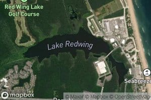 Lake Redwing
