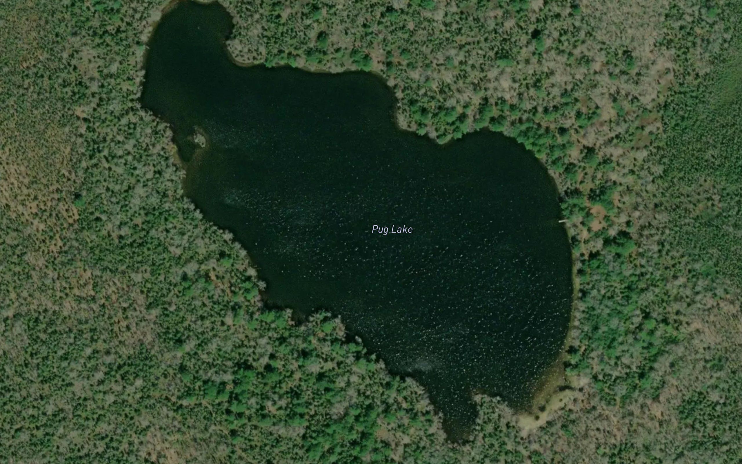 Pug Lake