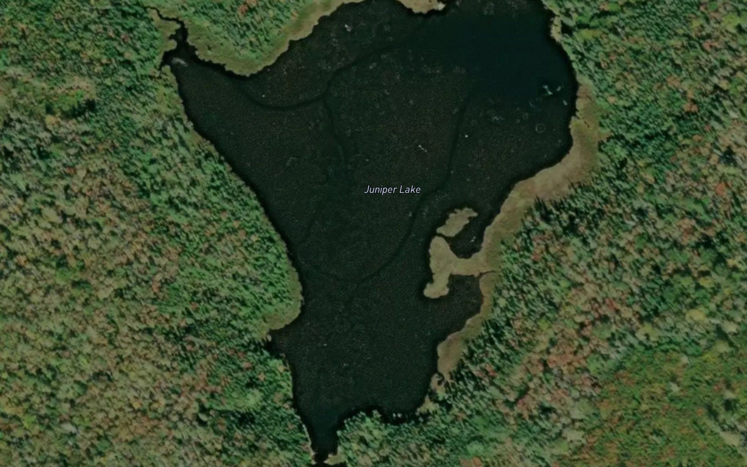 Juniper Lake