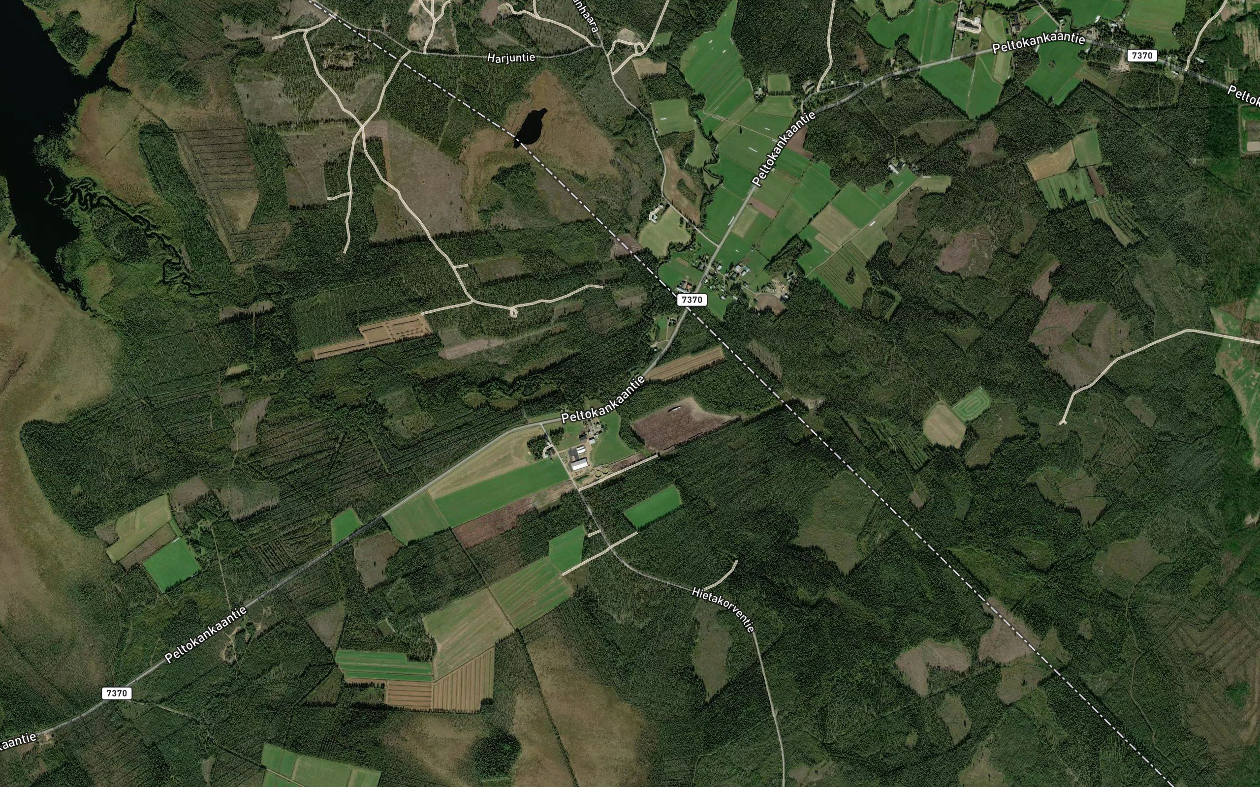 Metsopuro