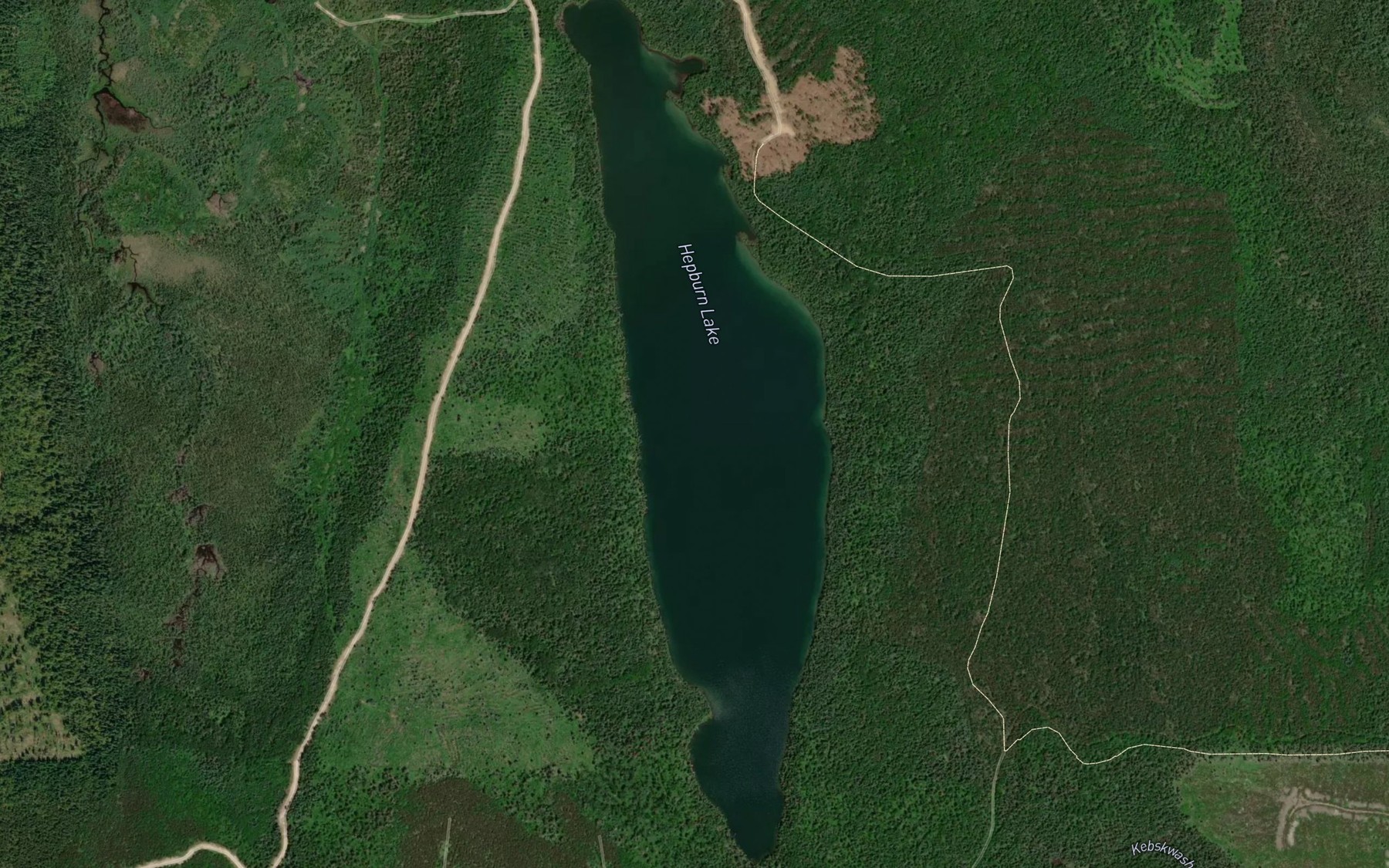 Satellite map of the Hepburn Lake