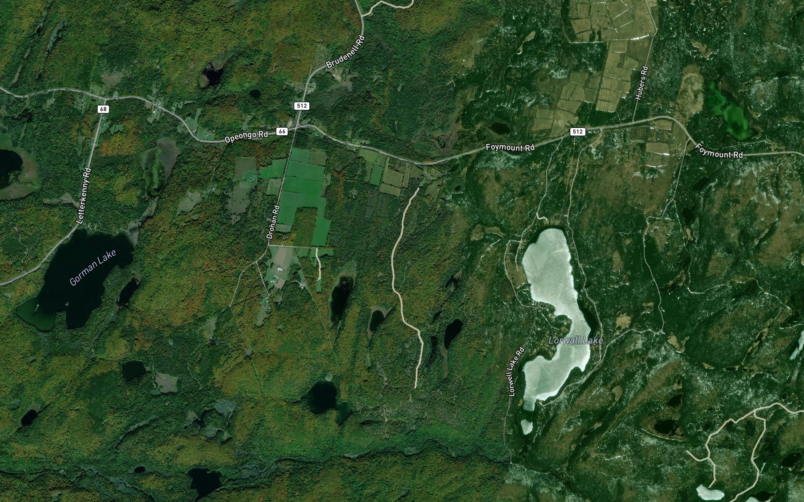 Dillons Pond