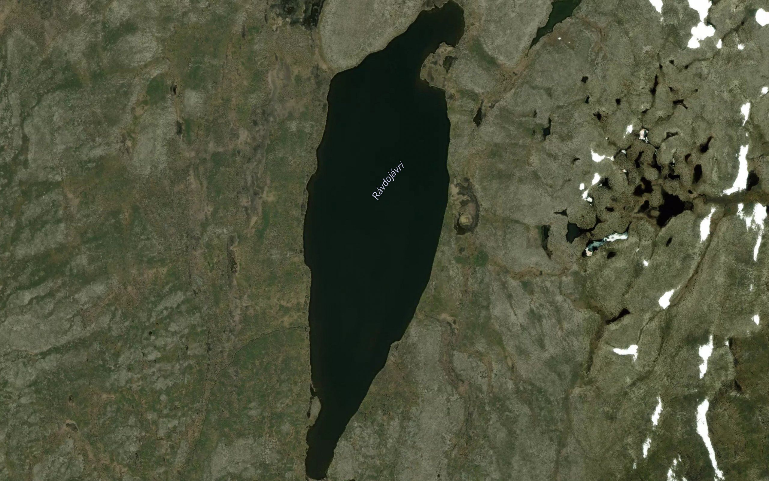 Ravdujavri