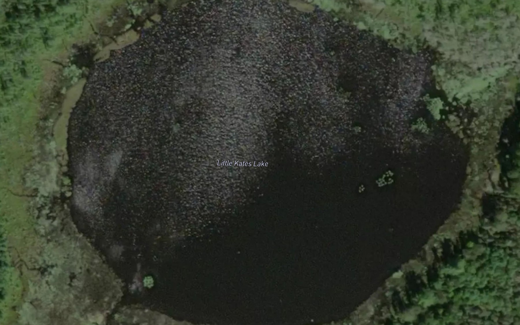 Satellite map of the Little Kates Lake