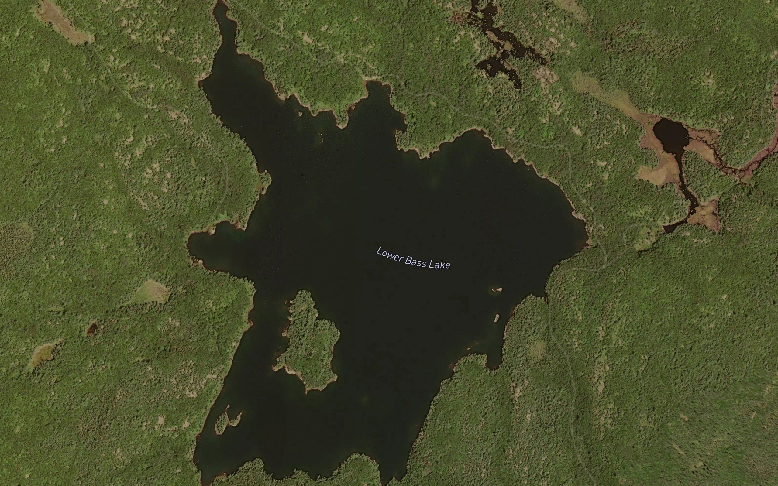 Lower Bass Lake