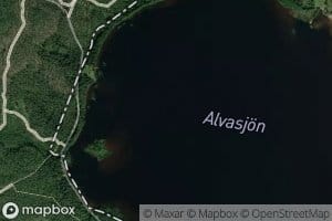 Alvasjon