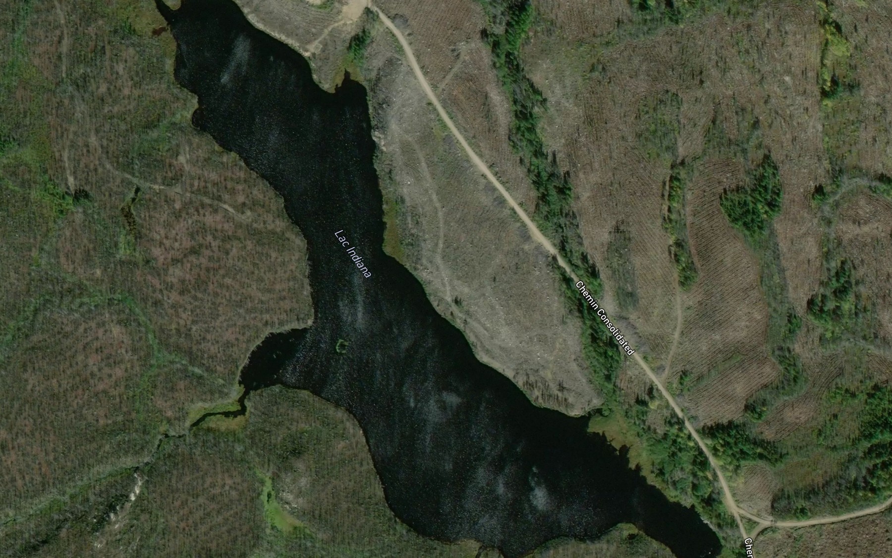 Satellite map of the Lac Indiana