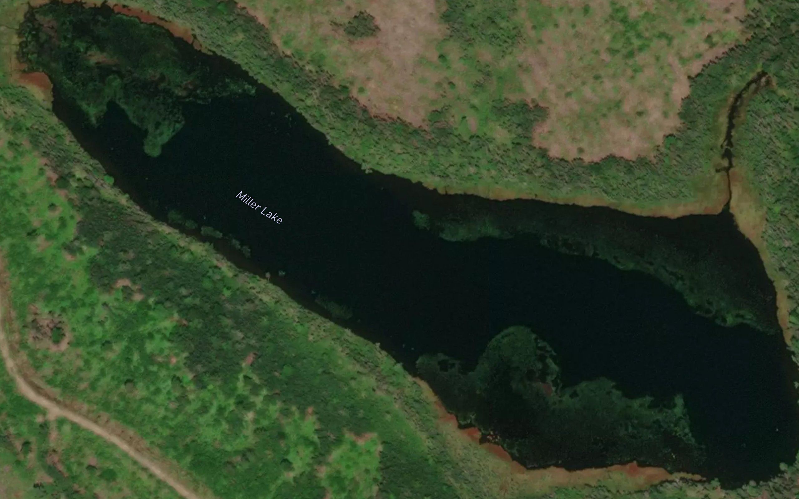 Miller Lake