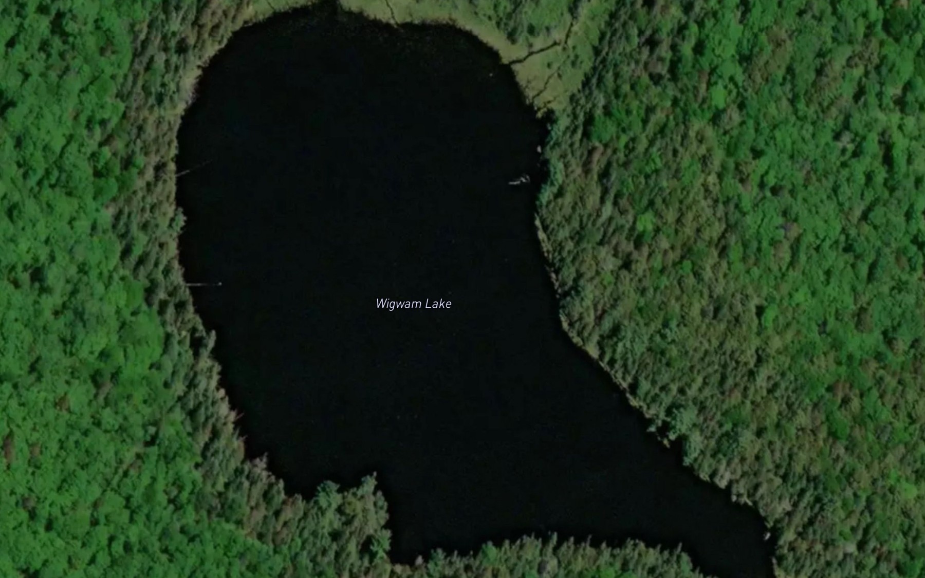 Satellite map of the Wigwam Lake