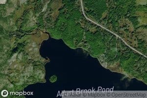 Thwart Pond
