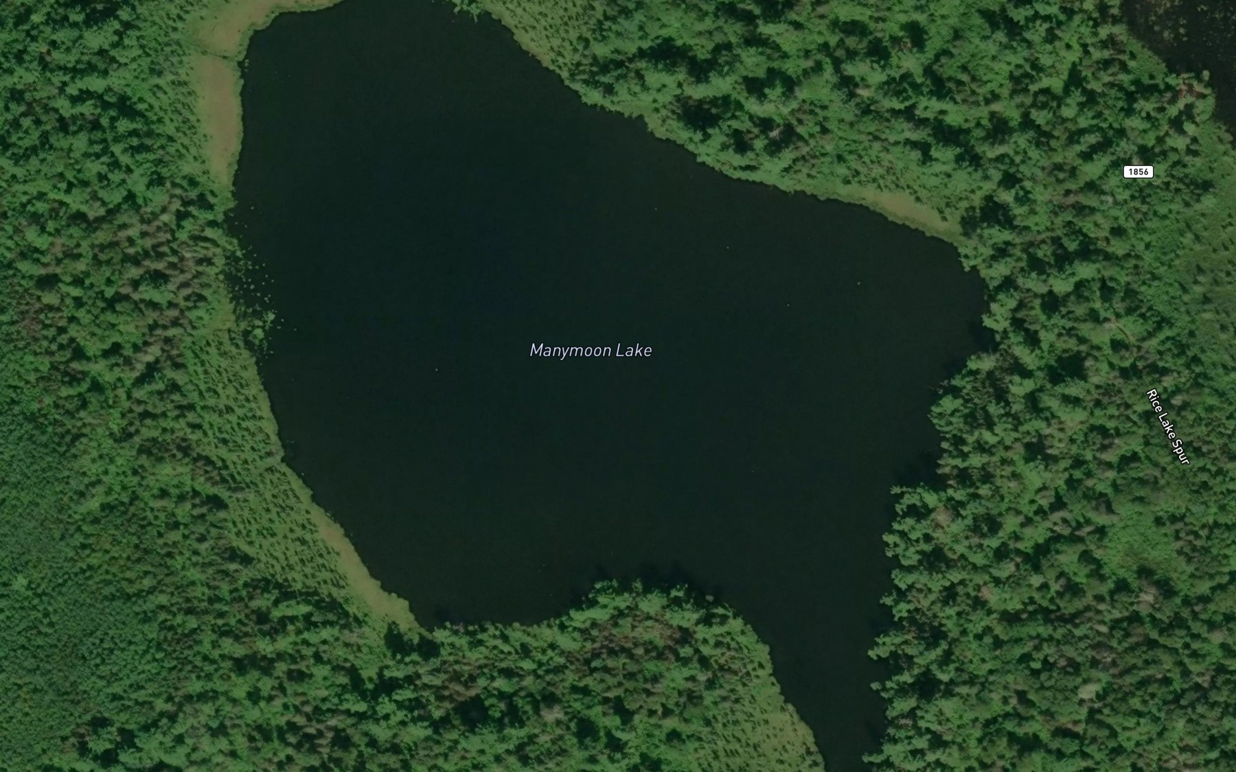 Satellite map of the Manymoon Lake