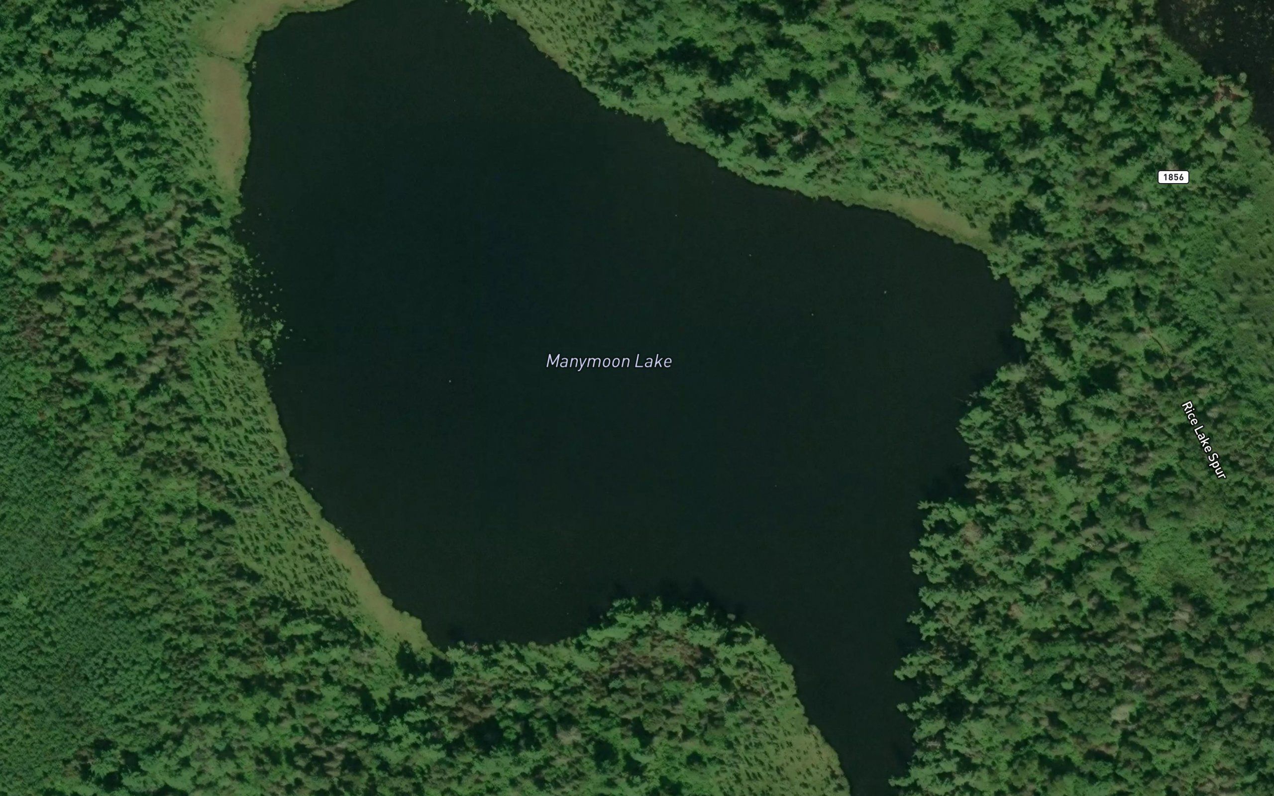 Manymoon Lake