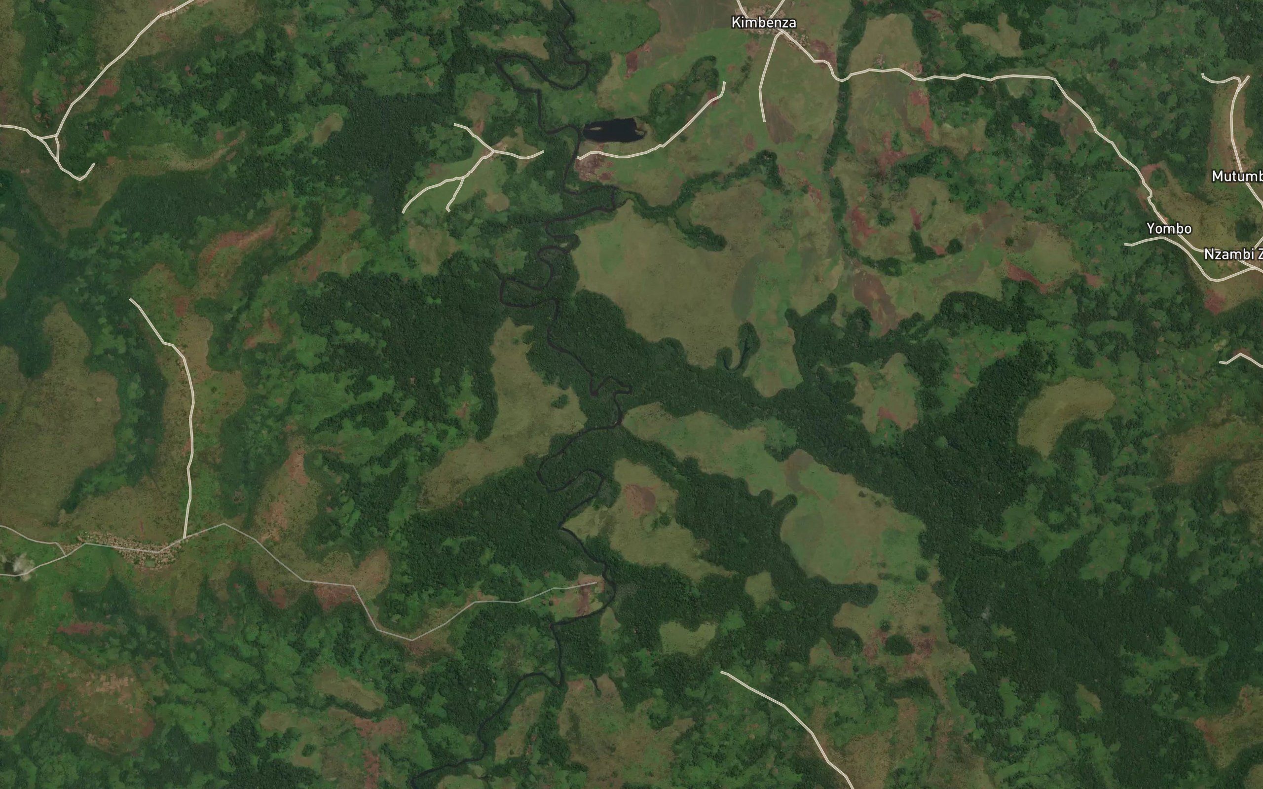Kifua-Pungu