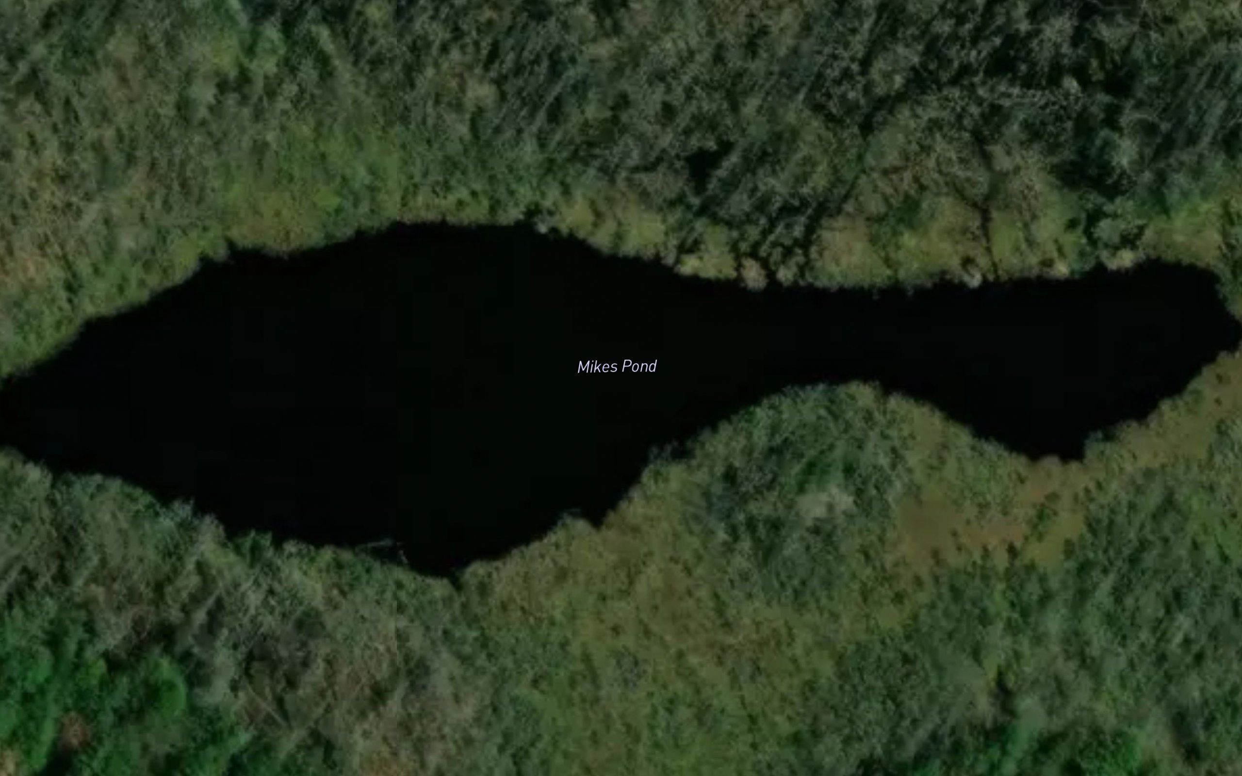 Mikes Pond