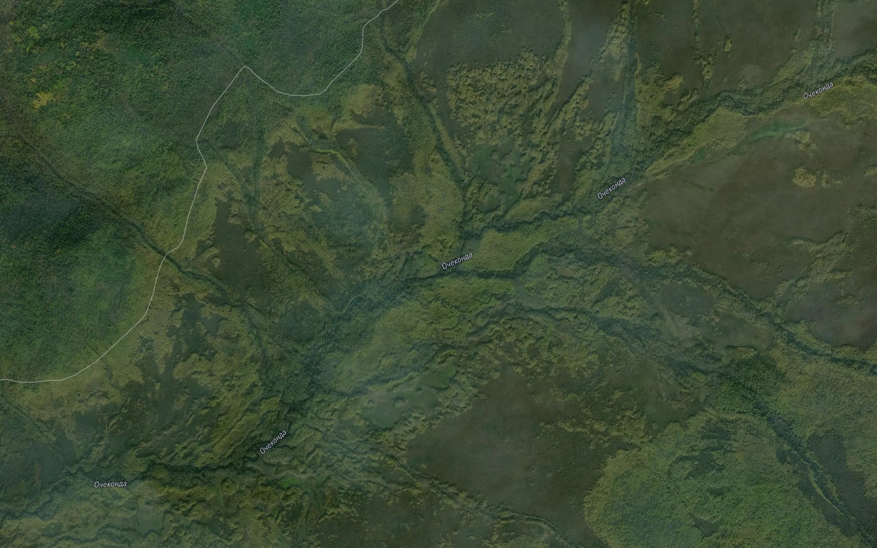 Satellite map of the Bolotnyy