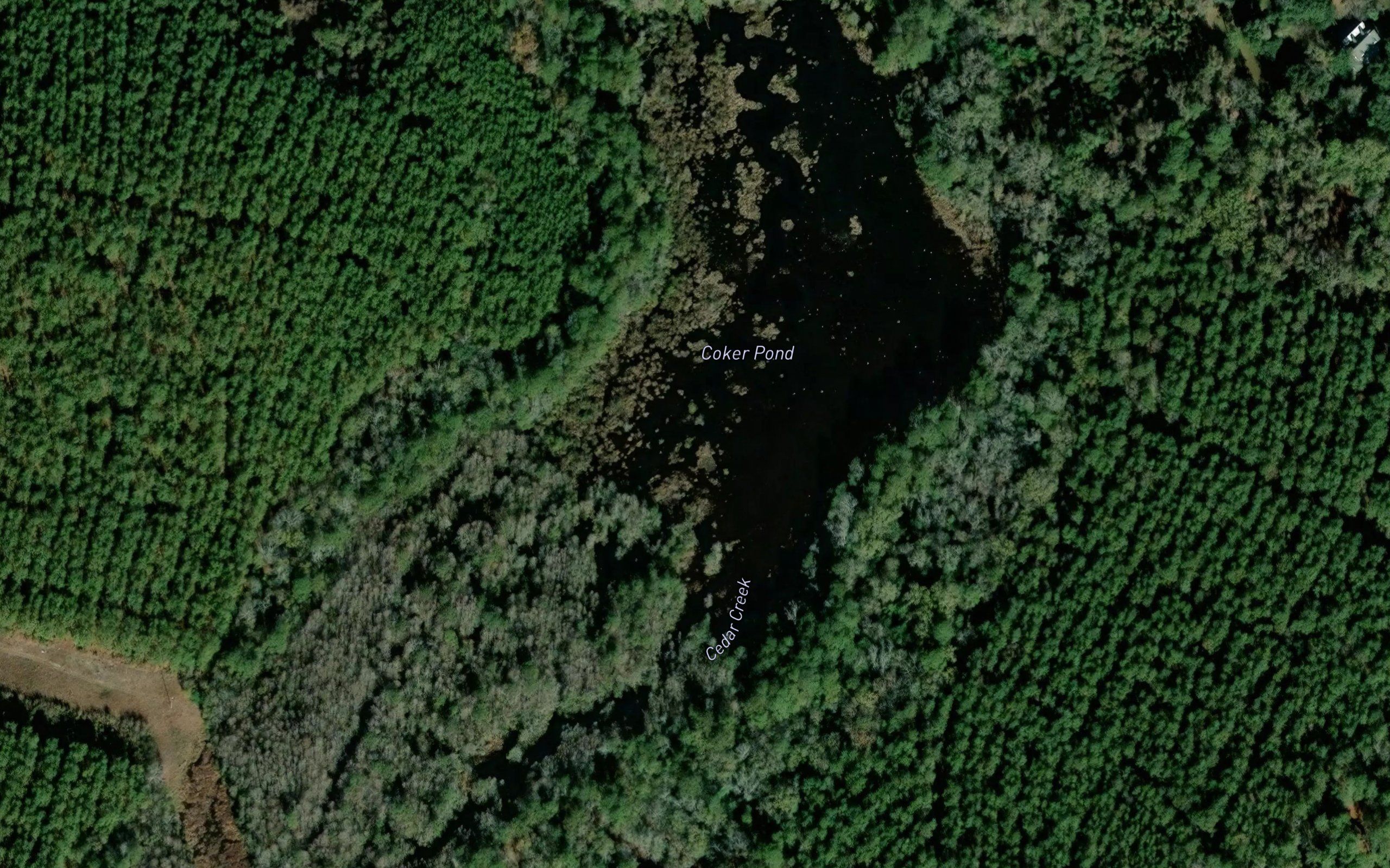 Coker Pond