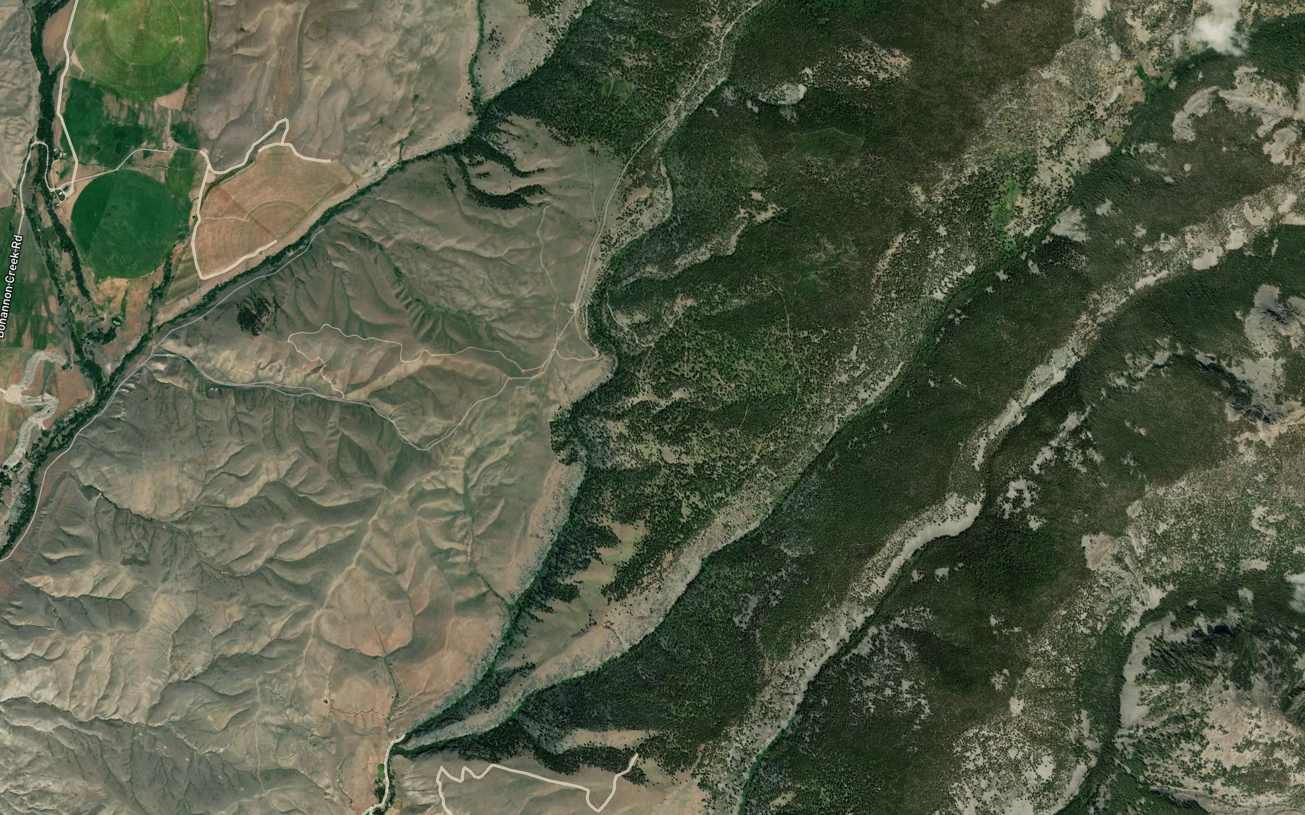 Albertson Spring