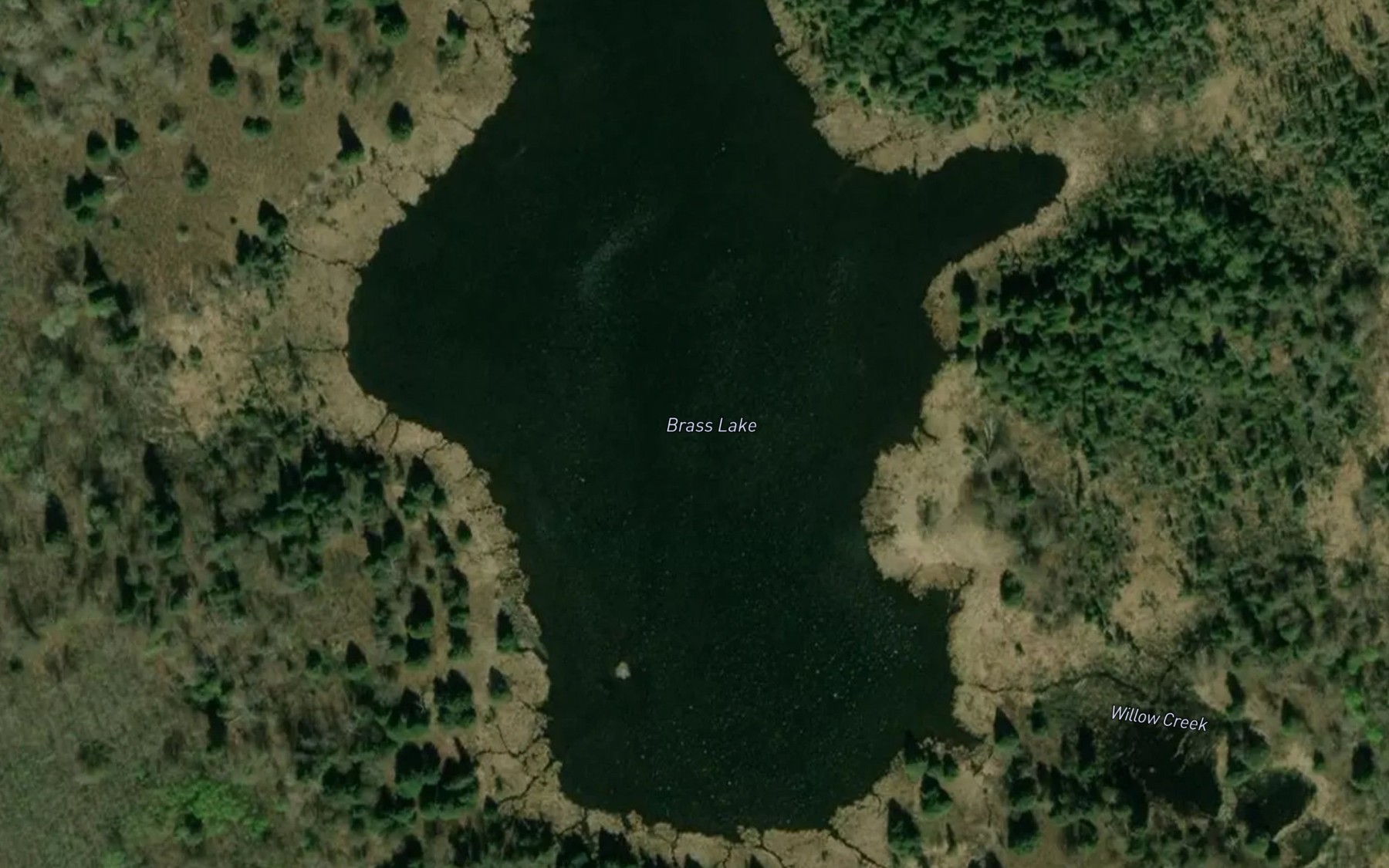 Satellite map of the Brass Lake