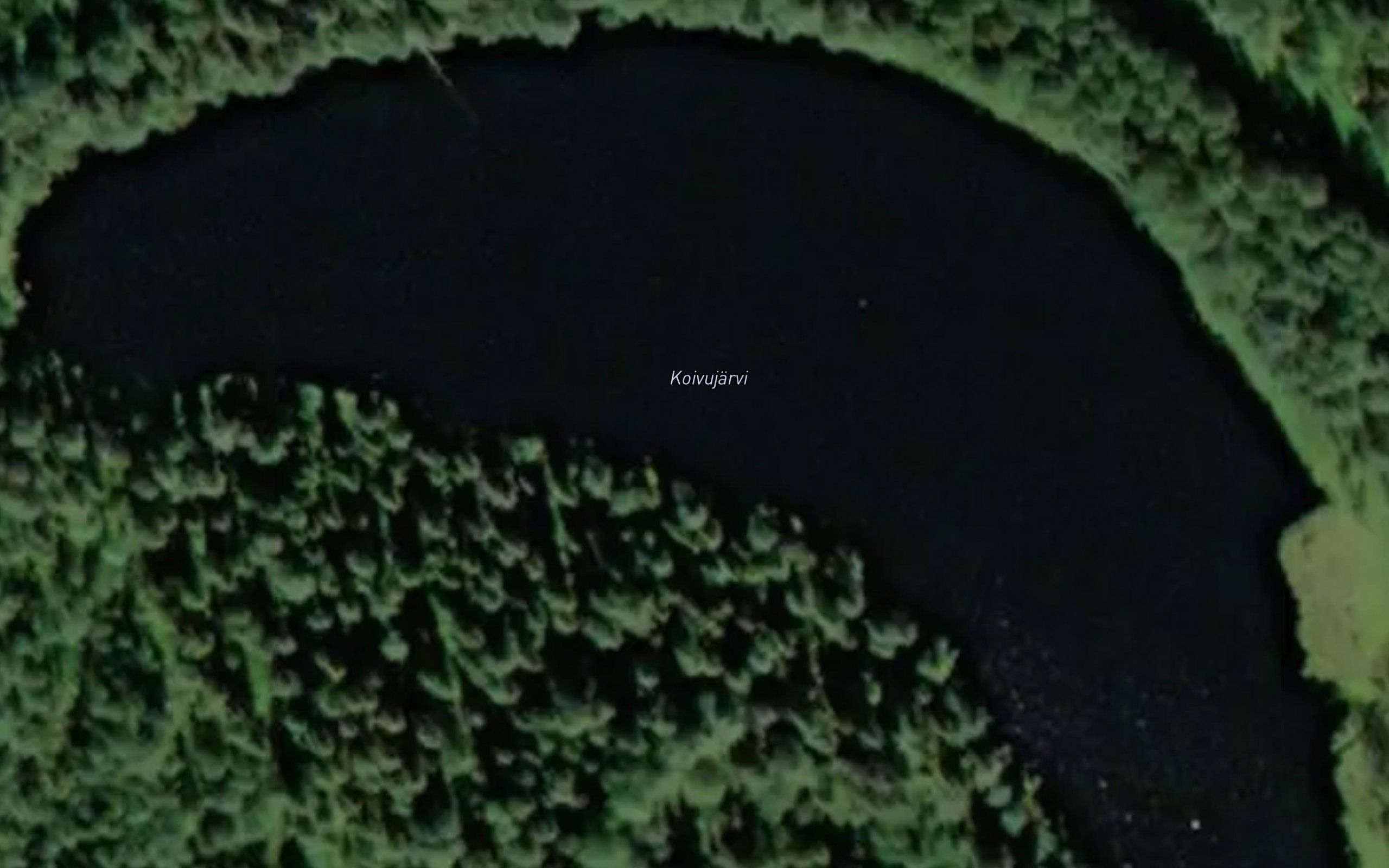 Koivujarvi