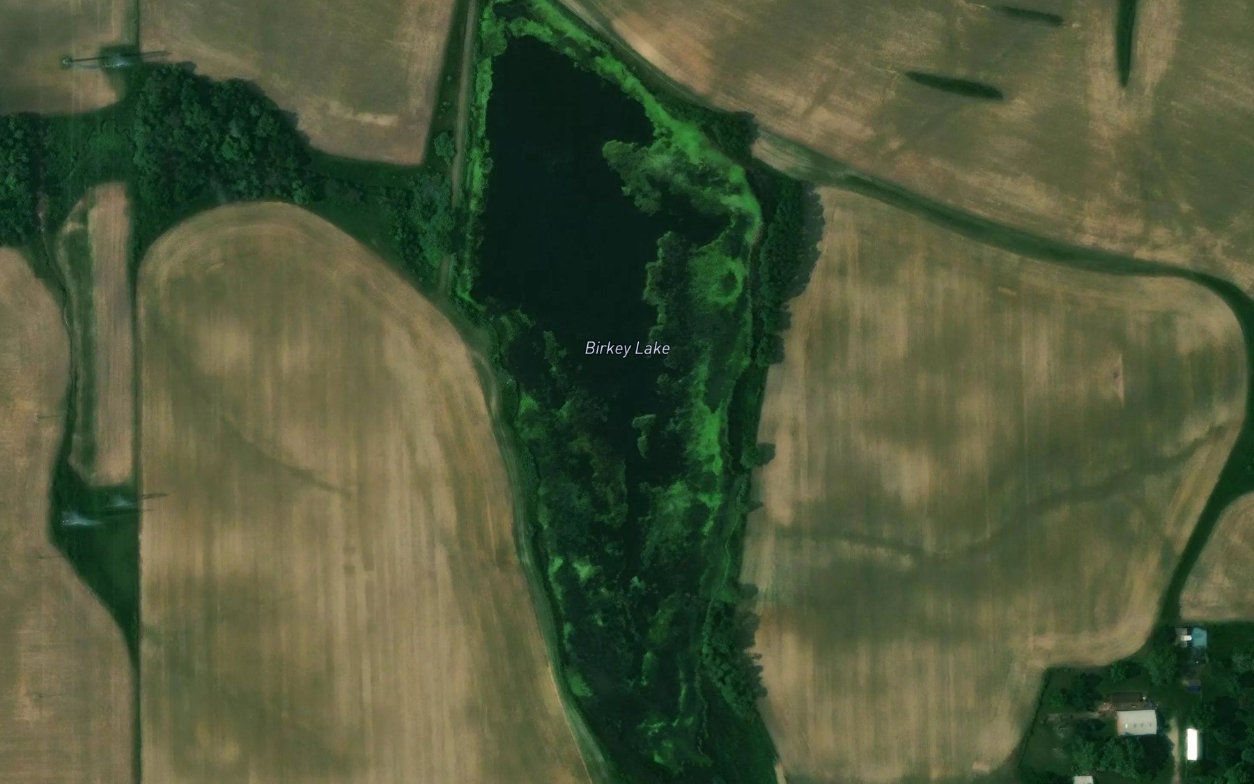 Satellite map of the Birkey Lake