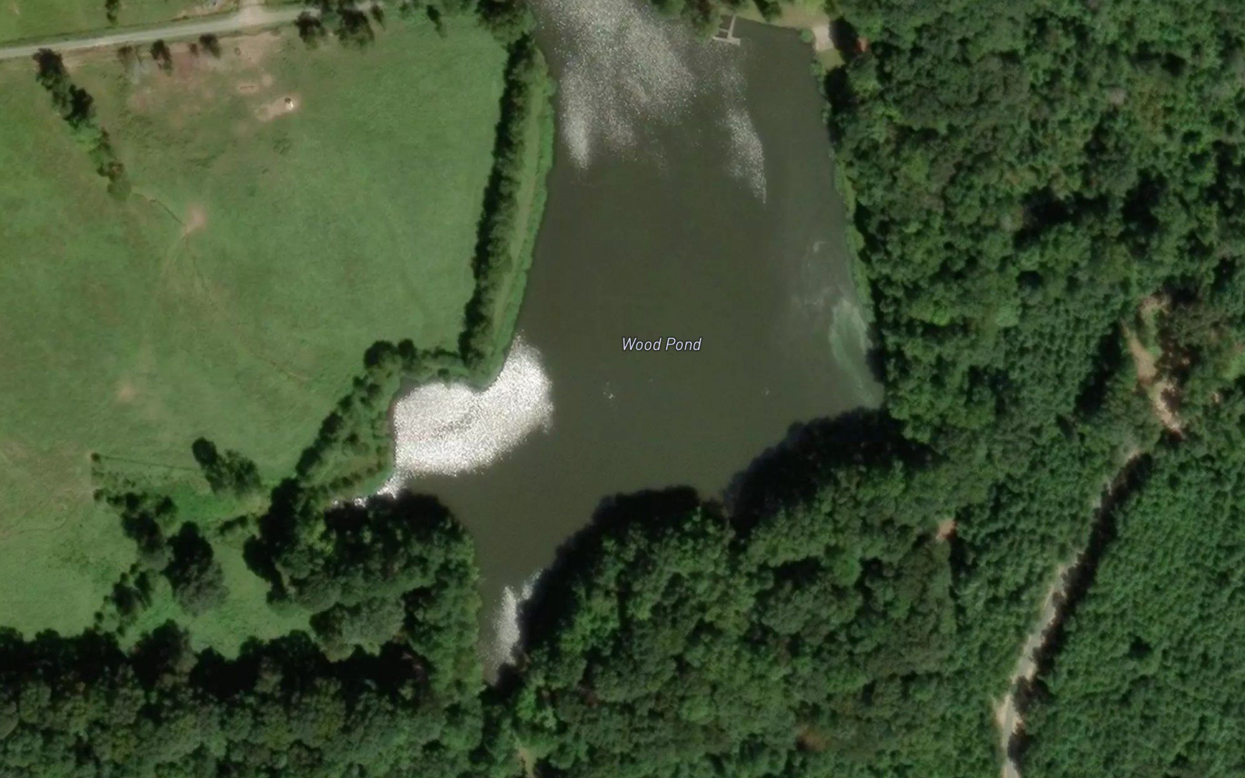 Wood Pond