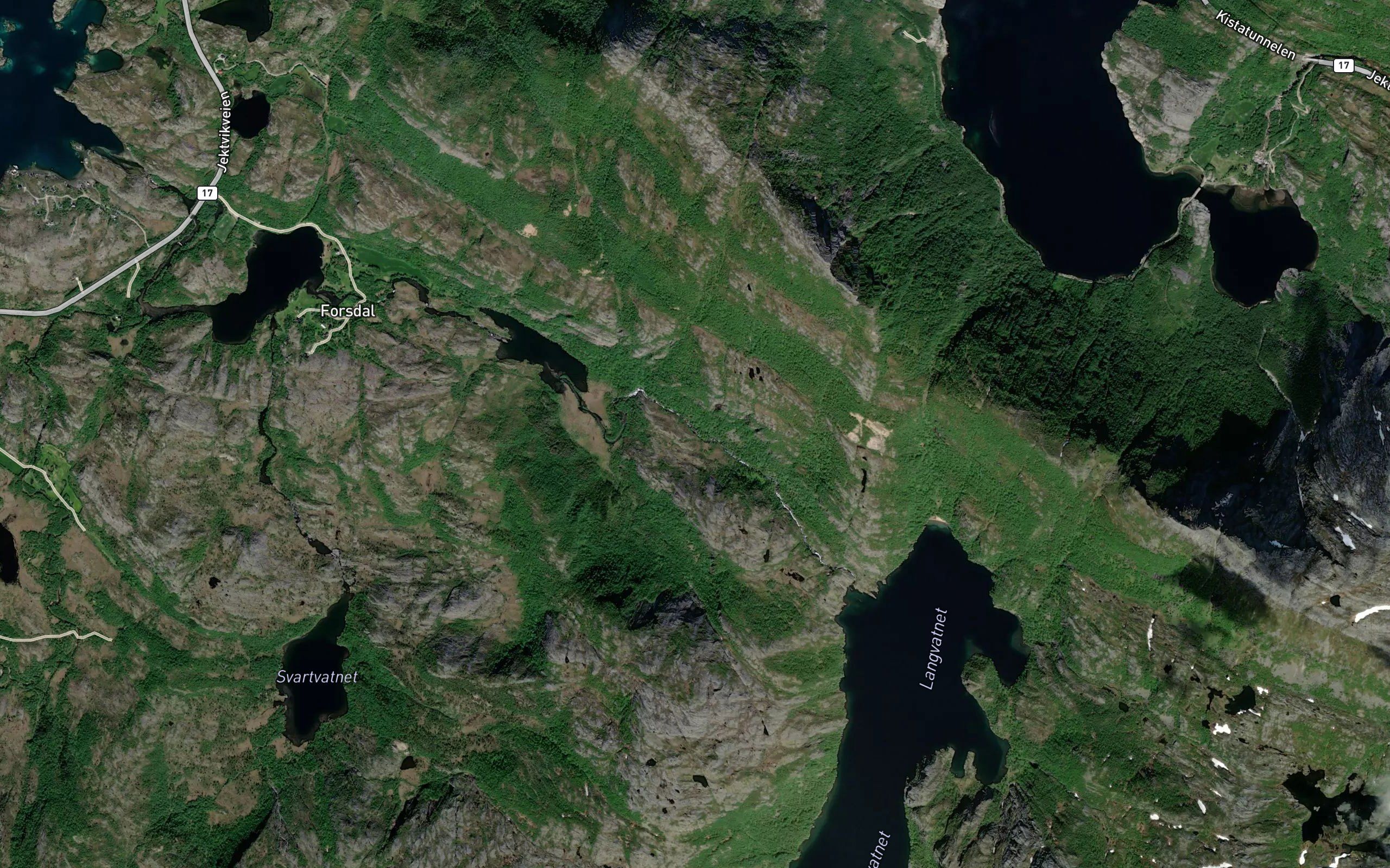Langvasselva
