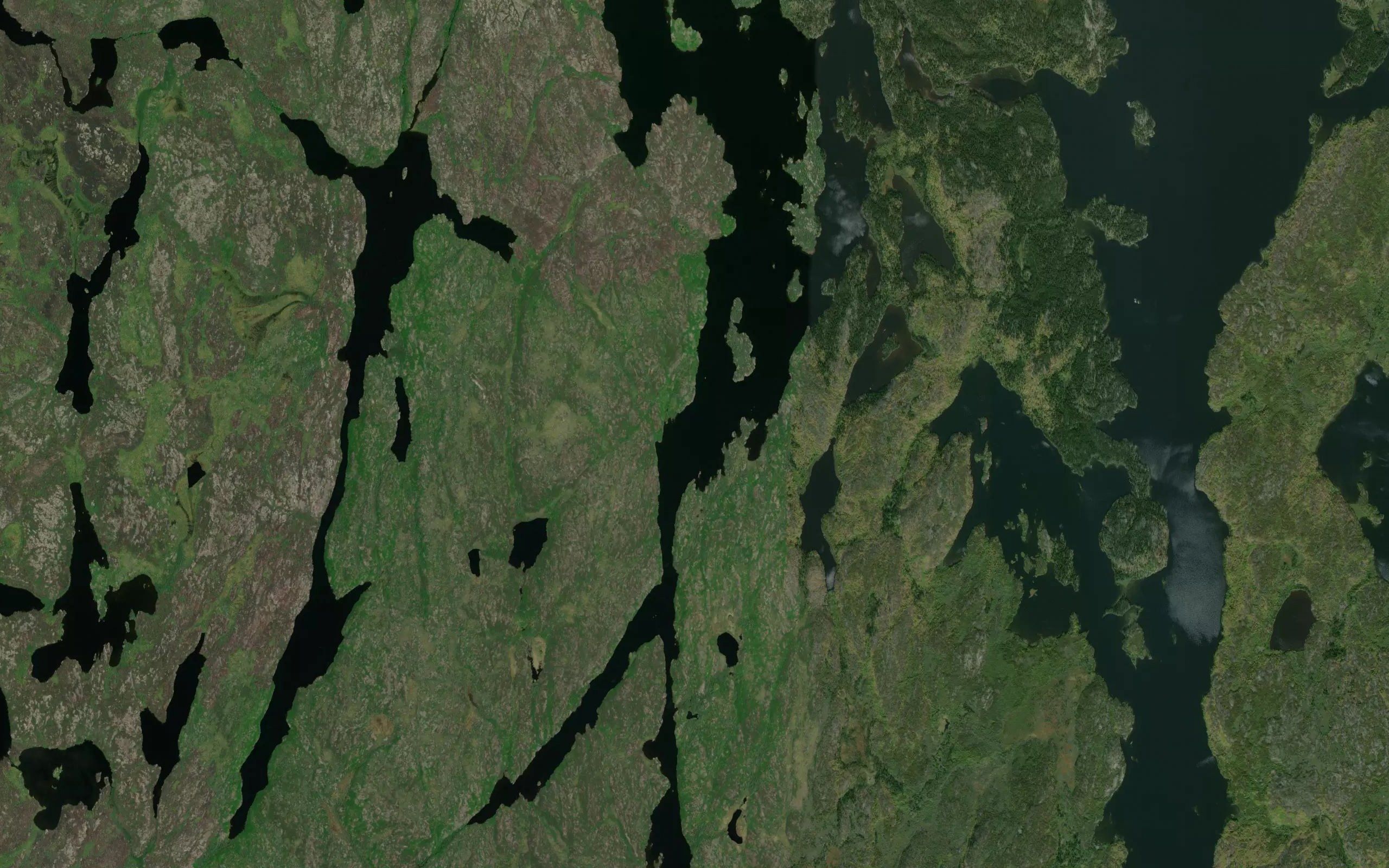 Tractor Lake