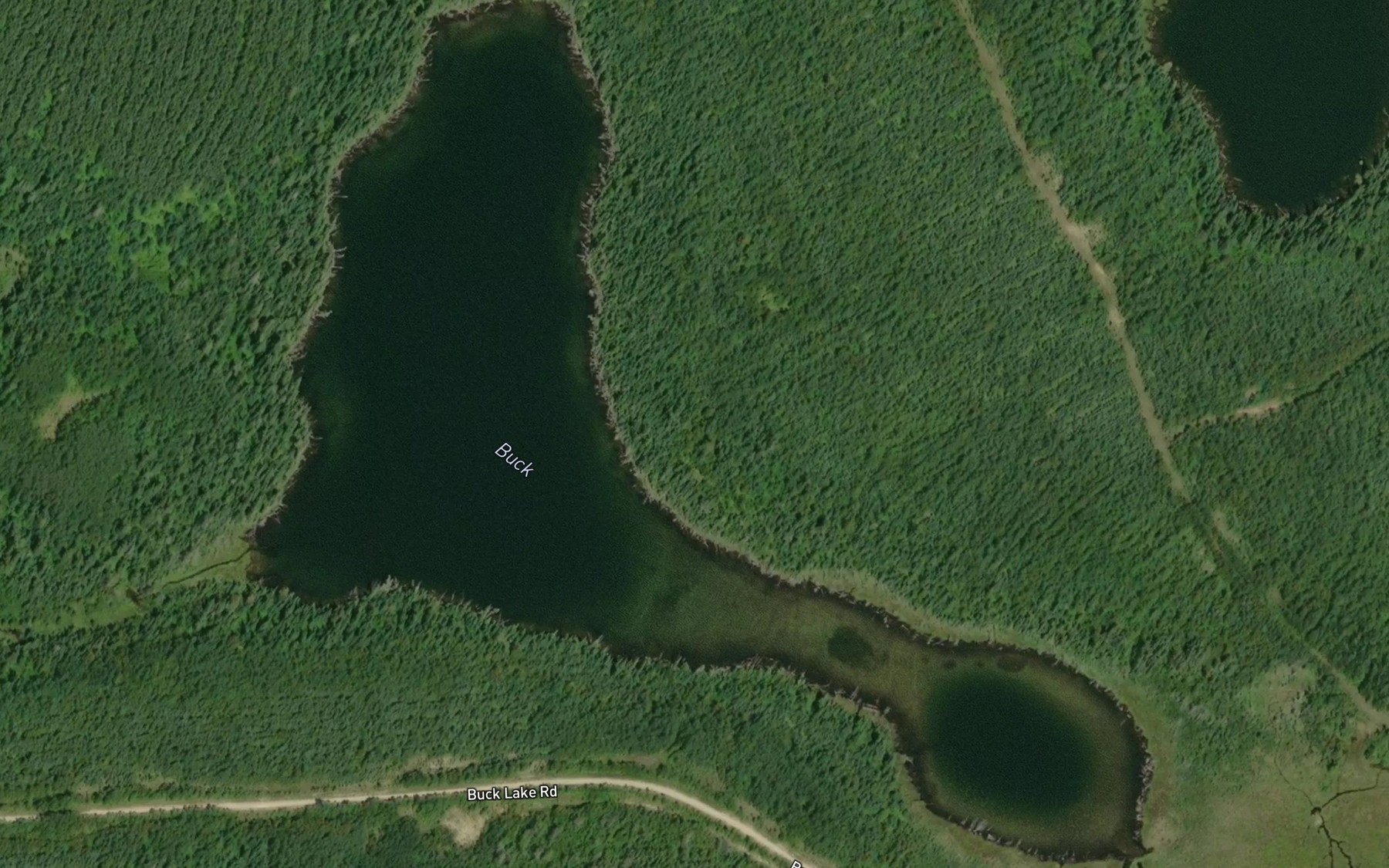 Satellite map of the Buck Lake