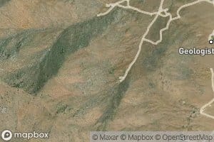 Quail Spring