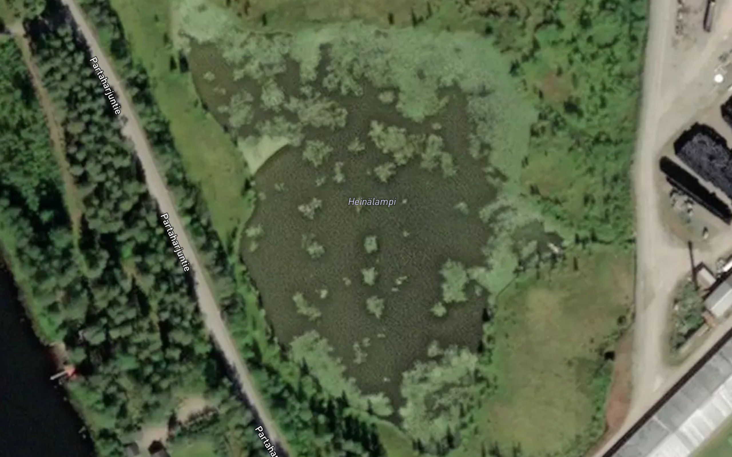 Heinalampi