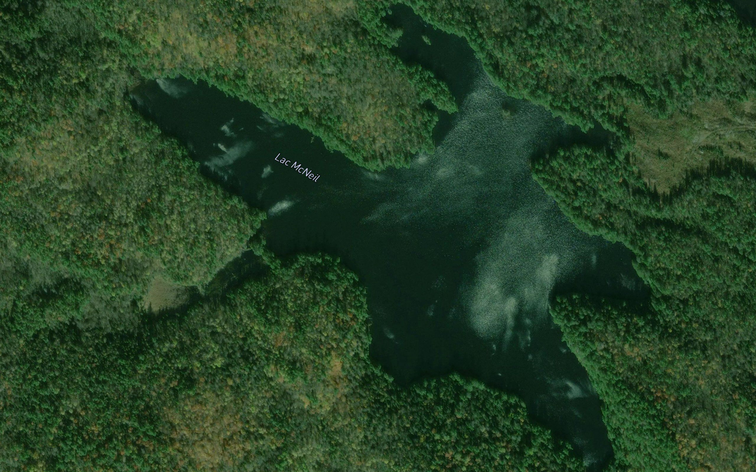 Lac McNeil